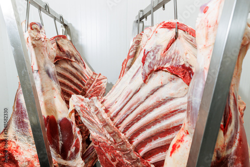 Photos Raw meat carcasses hang from hooks in a refrigerated room, with visible fat and muscle tissue