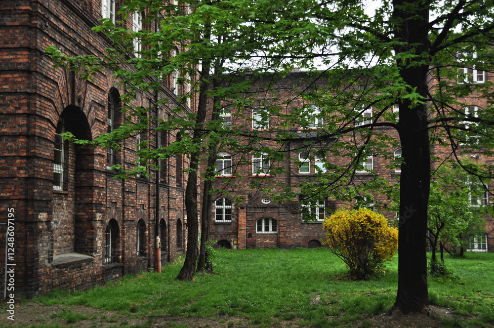 Green garden with trees and a patio outside an old brick building Green garden with trees and a patio outside an old brick building