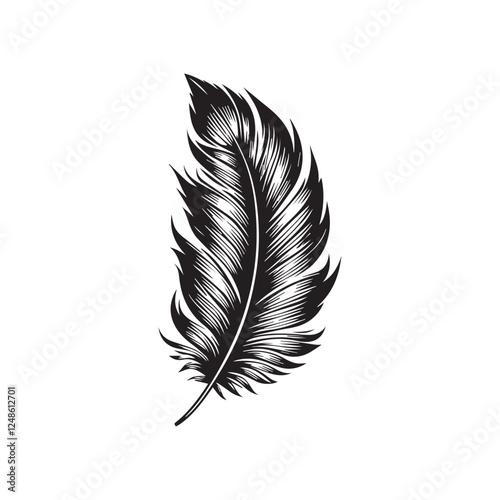 feather on white background