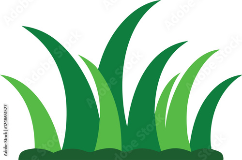 Lush green grass blades growing from the earth.
