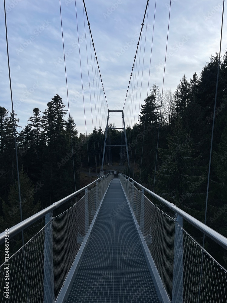 Obraz premium cable car bridge on the forest
