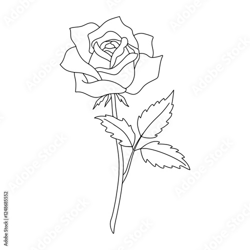 Linear Outline Illustration Of Rose Flower