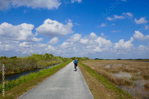 Man cycling on a paved trail through the Everglades in Florida