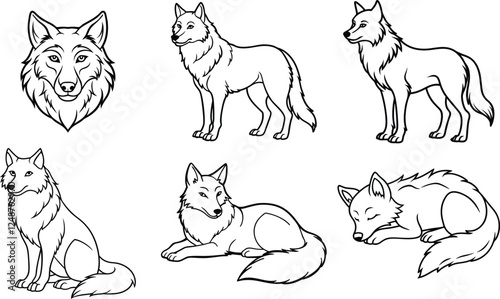 A beautiful wolf line art collection. This vector artwork is perfect for children's coloring books, digital designs, t-shirts and branding etc. Ideal for wildlife lovers and artistic projects.