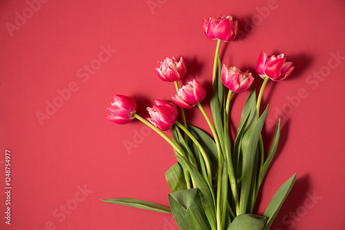 Obraz na płótnie Bouquet of pink terry tulips on a pink. Spring and holiday concept w salonie