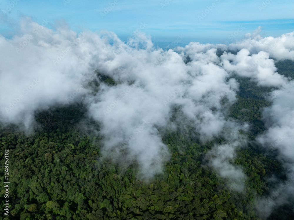 Aerial view Panorama of flowing fog waves on mountain tropical rainforest,Bird eye view image over the clouds Amazing nature background Aerial view Panorama of flowing fog waves on mountain tropical rainforest,Bird eye view image over the clouds Amazing nature background