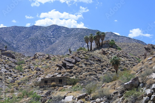 Steinhäuser im Andreas Canyon bei Palm Springs