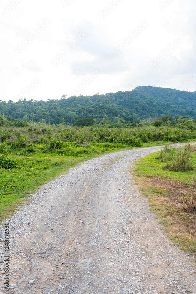 Dirt road in jungle to camping at Nakhon Nayok, Thailand Dirt road in jungle to camping at Nakhon Nayok, Thailand