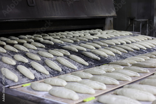 bread doughs entering an industrial conveyor belt oven