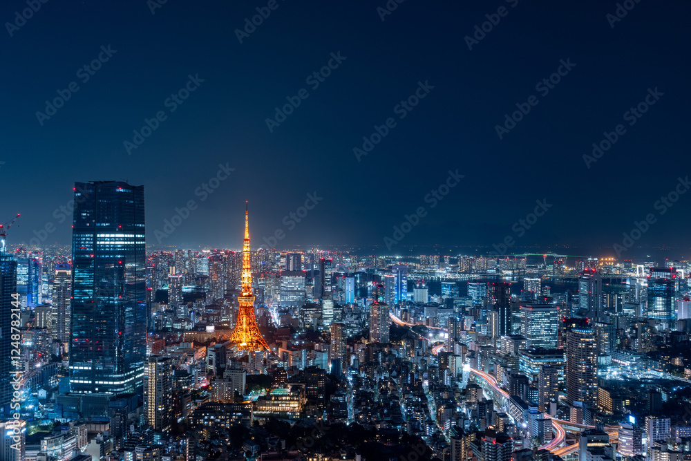 Fototapeta premium Panoramic view of Tokyo central area with Tokyo tower at night