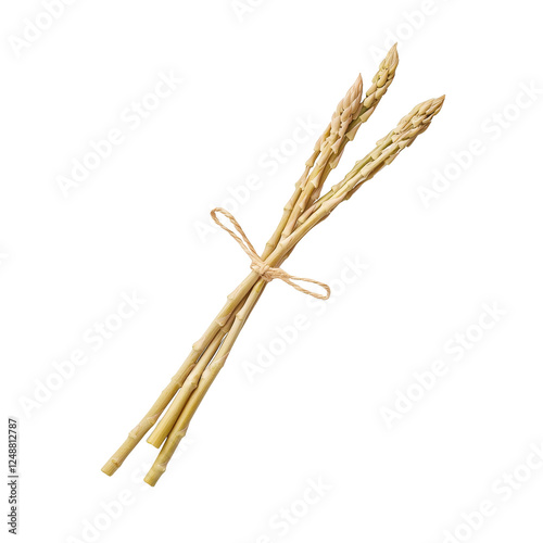 Bunch of fresh asparagus tied with a string, white isolated background.