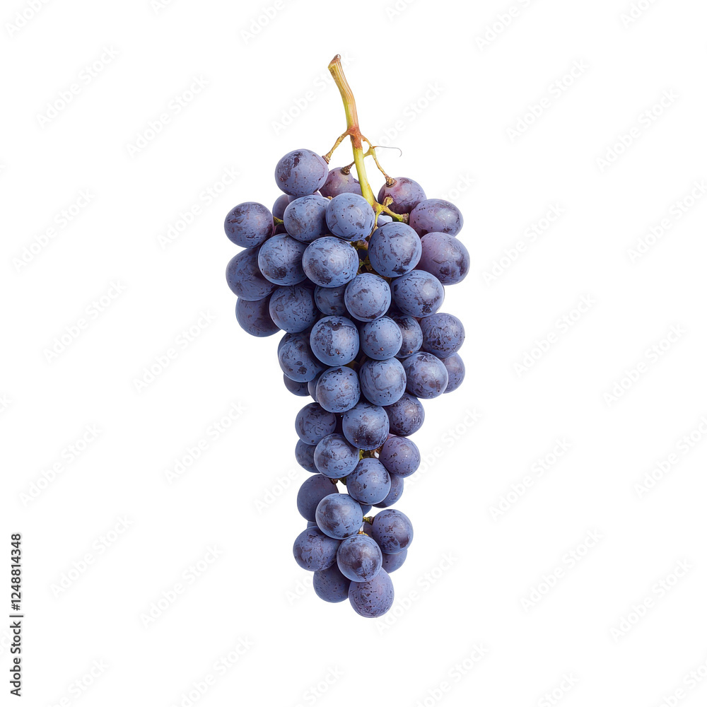 Cluster of fresh purple grapes, white isolate background. Cluster of fresh purple grapes, white isolate background.