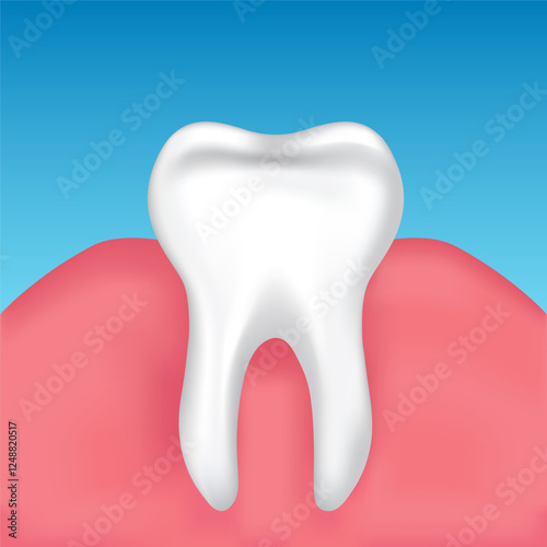 Vector image of a tooth. Anatomy of a tooth close-up. Concept of studying the structure of a human tooth. Medical illustration for scientific articles, etc. Element for your design