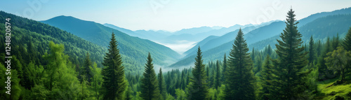 Expansive Mountain View with Lush Trees and Foggy Valley Landscape