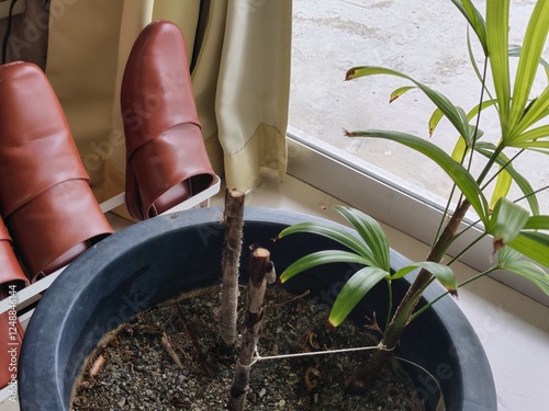 オフィスの一部