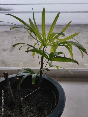 オフィスの一部