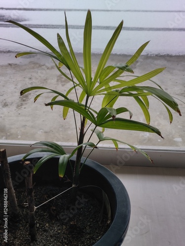 オフィスの一部