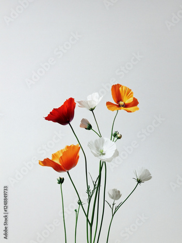 Still life wild flower, realistic photograph, micro, close-up nature image. Delicate flower. 