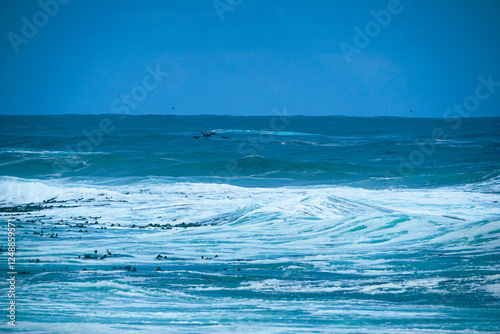 Cape Point, South Africa photo