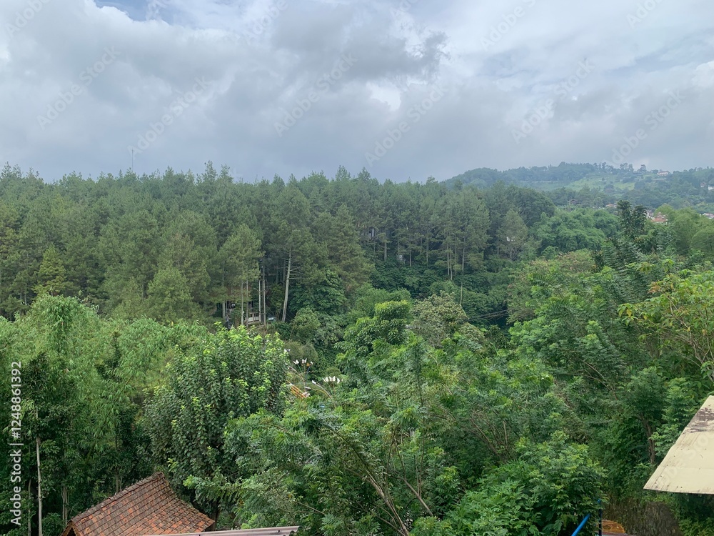 view of the forest, View on Dago Dream Park, Dago, Bandung, West Java, Indonesia. Forest. Traveling, Trees in the Forest. Tree and Sky view of the forest, View on Dago Dream Park, Dago, Bandung, West Java, Indonesia. Forest. Traveling, Trees in the Forest. Tree and Sky