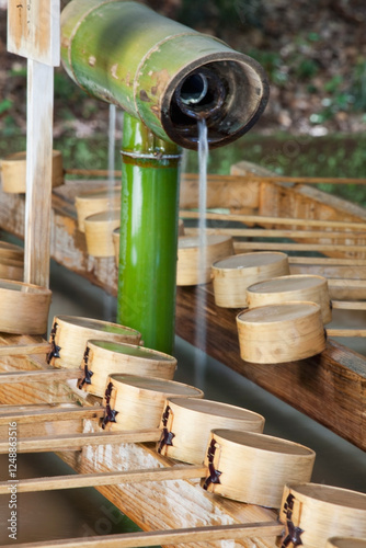 Ritual cleansing area, Meiji Jingu Shrine, Tokyo, Japan.