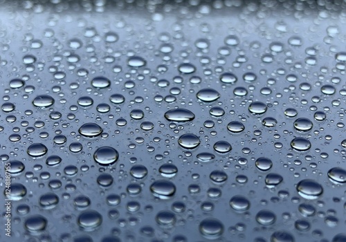 Wallpaper Mural drops of water Torontodigital.ca