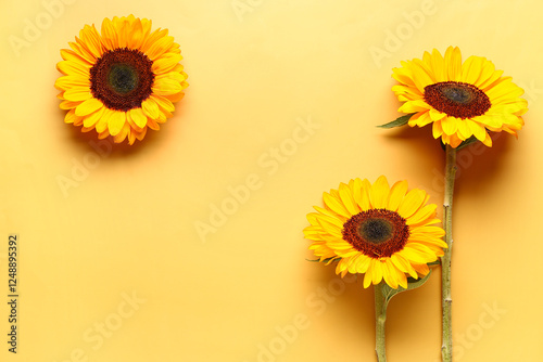 Beautiful sunflowers on yel...