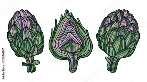 Artichokes hand drawn vector cliparts colorful illustrations use for food-related themes recipe books packaging design scrapbooks invitations marketing materials