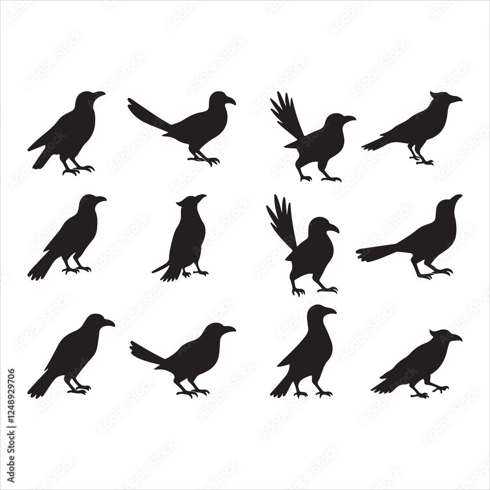 Obraz premium Crow Silhouette Vector Set