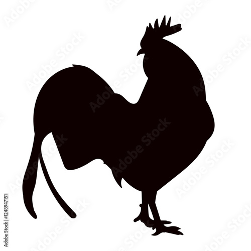 silhouette rooster on white background vector