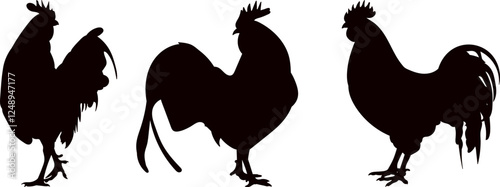 silhouette of roosters on white background vector