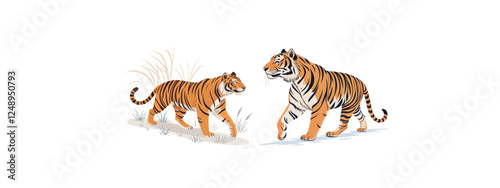 Print  A fierce tiger stalking through a powerful, dynamic pose isolated on white background