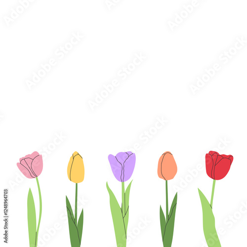 Minimalist illustration of colorful tulips on white background. Elegant floral design for prints, invitations, greeting cards, decorations, spring themes, nature projects, and botanical artwork.