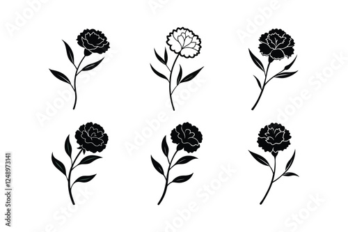 Carnation (Dianthus caryophyllus) silhouette vector art illustration