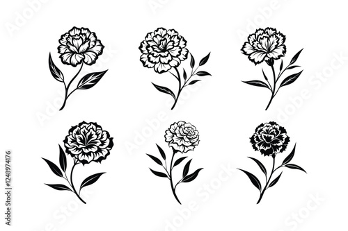 Carnation (Dianthus caryophyllus) silhouette vector art illustration