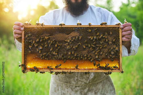 A beekeeper holds a frame with honeycombs full of honey photo