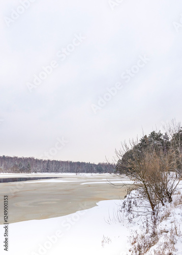 Wallpaper Mural Snowy landscape with a body of water and trees in the background Torontodigital.ca