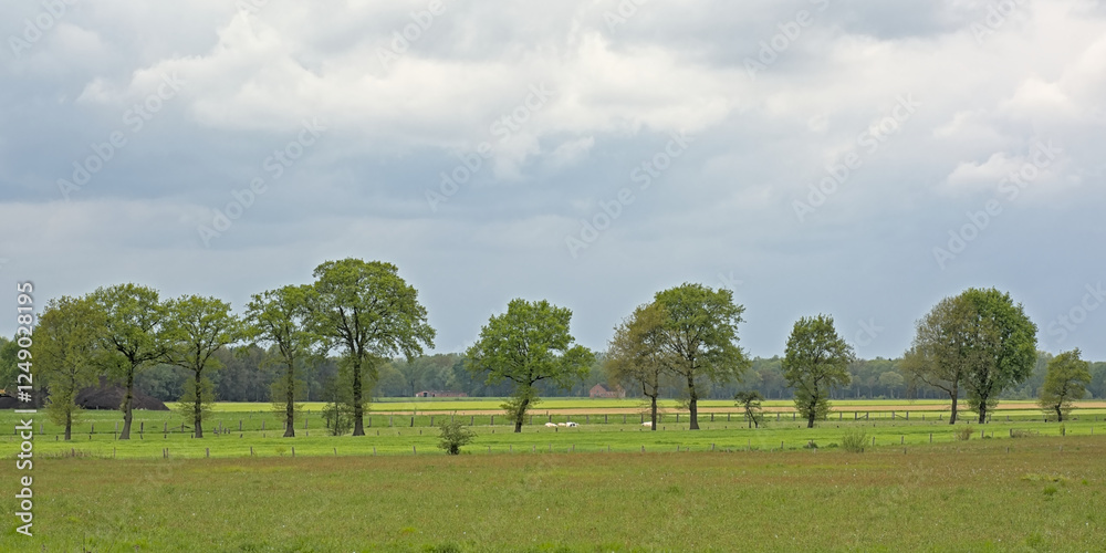 spring farmland with trees in the flemish countryside spring farmland with trees in the flemish countryside