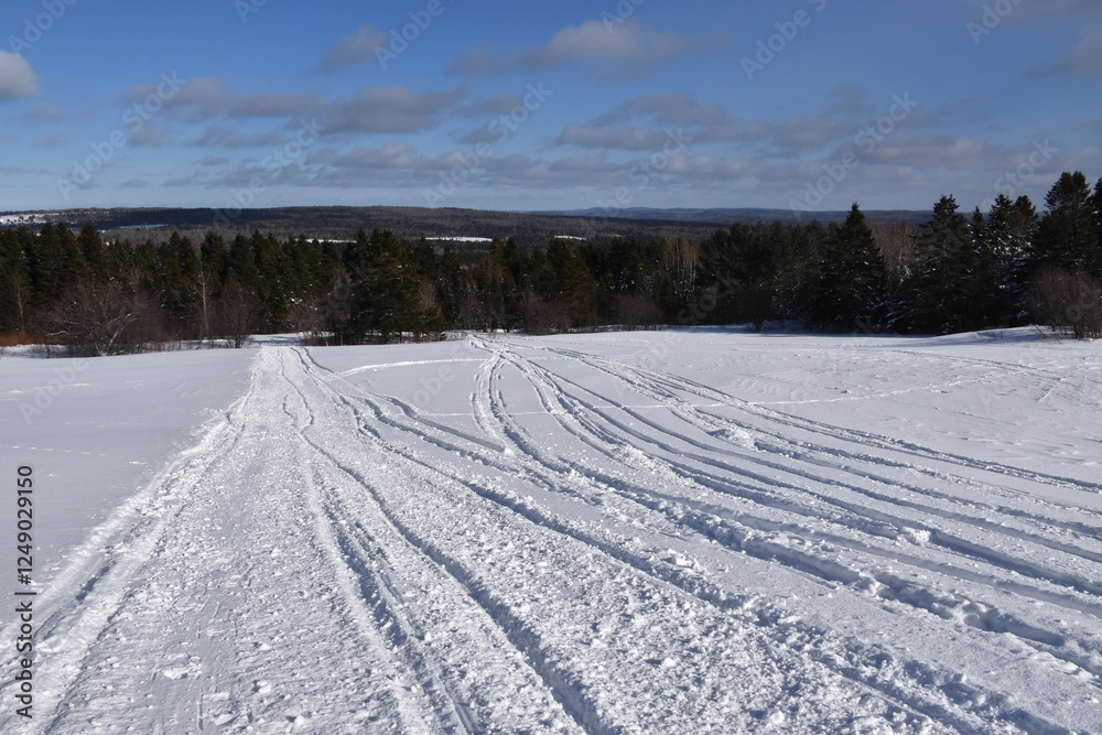 Snowmobile tracks in a field, Sainte-Apolline, Québec, Canada Snowmobile tracks in a field, Sainte-Apolline, Québec, Canada