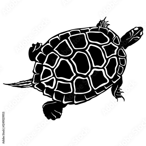 fresh turtle vector illustration