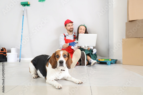 Beagle dog lying on floor a...