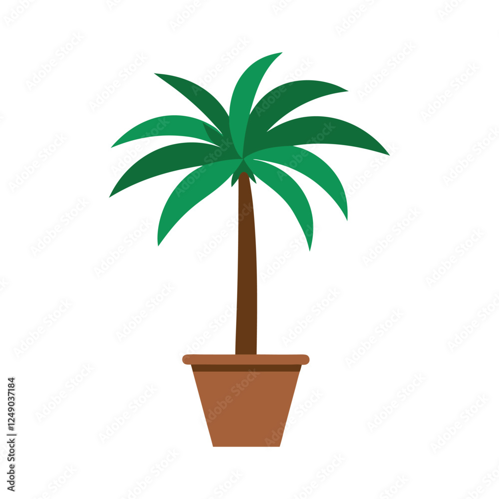 Obraz premium palm tree in a pot
