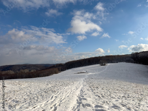 Winter Wonderland Path