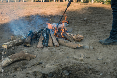 View of a campfire in the middle of a corral with cattle. The campfire heats the branding iron to then mark the cattle. photo
