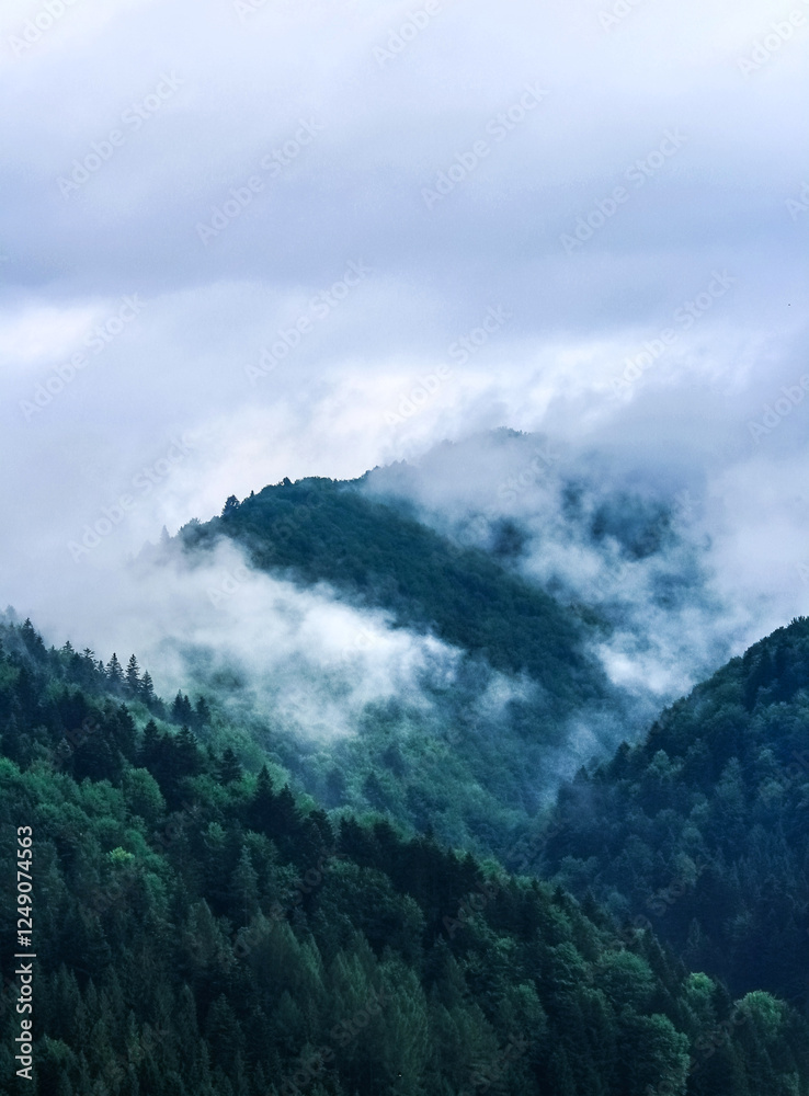 Obraz premium A breathtaking misty mountain landscape covered in lush green forests. Fog drifts through the valleys, creating a serene and mystical atmosphere. A perfect scene of untouched nature and peaceful wilde