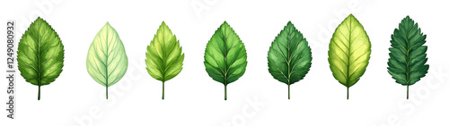 Green leaf icons set. Leaves icon on white background
