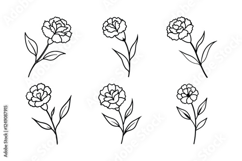 Carnation (Dianthus caryophyllus) line art vector illustration