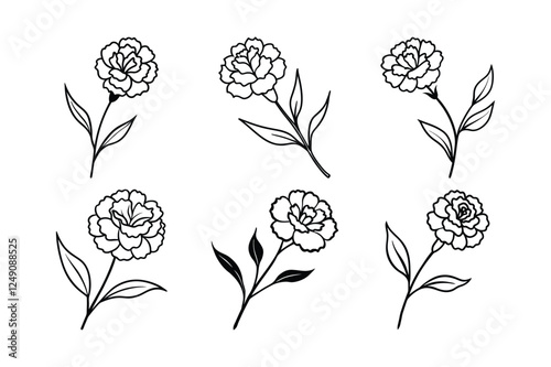 Carnation (Dianthus caryophyllus) line art vector illustration