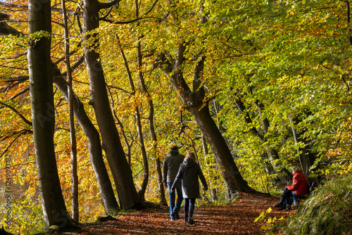 Obraz na płótnie Waldsspaziergang im Herbst. w salonie