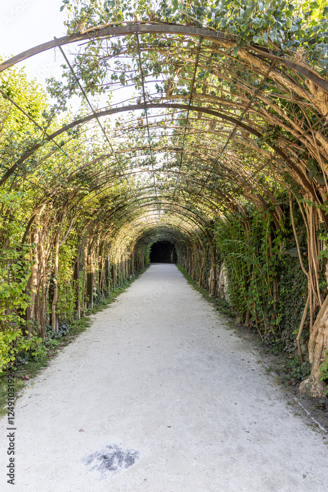 Tree tunnel in Mirabell gardens in Salzburg Austria Tree tunnel in Mirabell gardens in Salzburg Austria